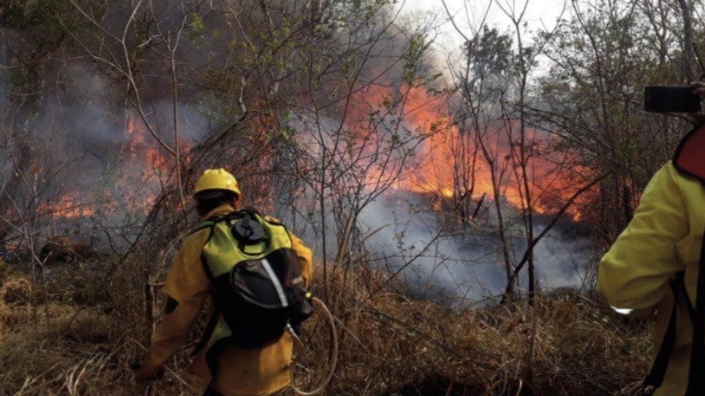 Bolívia vive desastre ambiental pela onda de incêndios