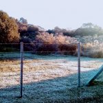 Frio segue intenso em domingo de sol que começa com geada ampla