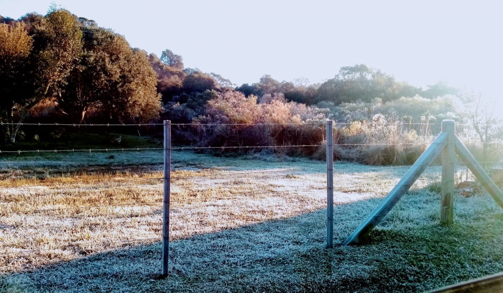 Frio segue intenso em domingo de sol que começa com geada ampla