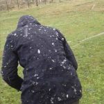 Ar gelado trouxe brusca mudança e neve no Uruguai