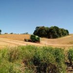 Como será a semana?