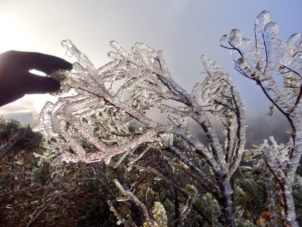 Neve no Rio Grande do Sul e Santa Catarina