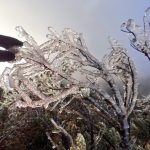 Neve no Rio Grande do Sul e Santa Catarina