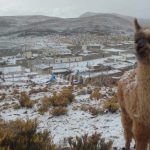 Neve encanta moradores de províncias do Norte argentino