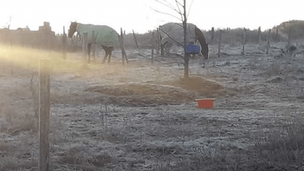 Grande parte do Uruguai amanheceu abaixo de zero hoje