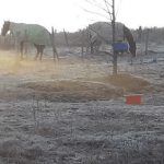 Grande parte do Uruguai amanheceu abaixo de zero hoje