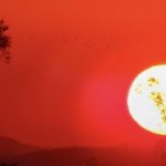 Temperatura continua elevada neste domingo no Estado