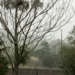 Veja os registros de chuva das últimas 48h no Rio Grande do Sul