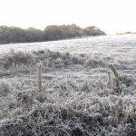 **ALERTA** Frio intenso a extremo, precipitação invernal e geada generalizada