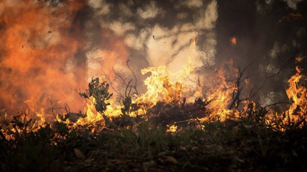 Recordes de queimadas no Brasil ocorreram na década passada