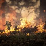 Recordes de queimadas no Brasil ocorreram na década passada