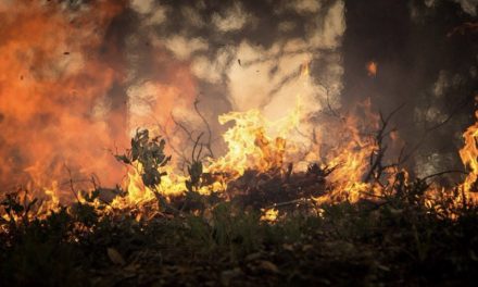 Recordes de queimadas no Brasil ocorreram na década passada