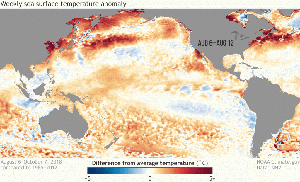 ***ATENÇÃO*** El Niño iminente