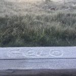 Rio Grande do Sul e Santa Catarina têm frio histórico para dezembro