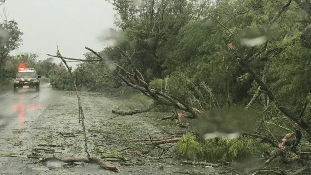 Temporal faz estragos e bloqueia rodovia no Oeste gaúcho