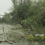 Temporal faz estragos e bloqueia rodovia no Oeste gaúcho