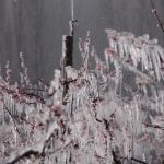 Setembro polar – Frio de -11°C na Argentina e de -3°C no Uruguai