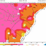 Calor intenso eleva muito risco de incêndio em vegetação