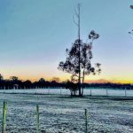 Número muito alto de mínimas negativas em agosto