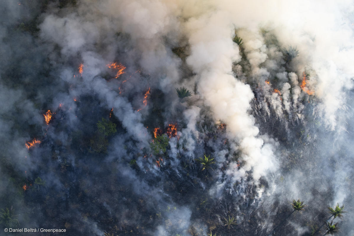 Fumaça de queimadas na Amazônia chega ao Sul do Brasil