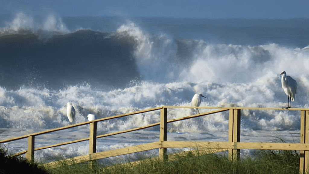 Forte ressaca do mar na costa do Sul