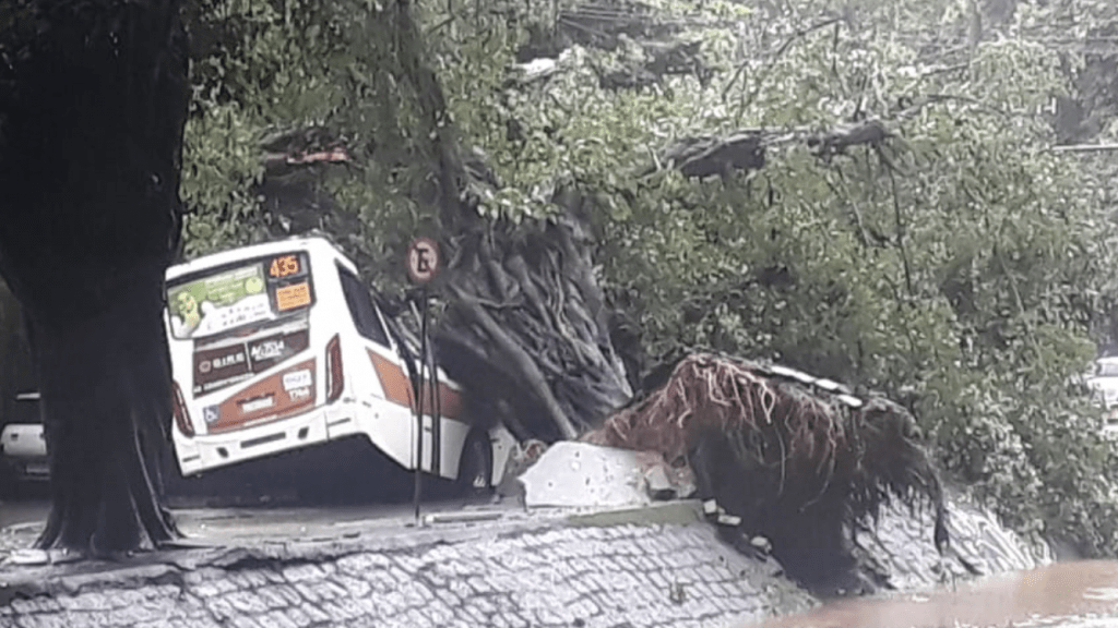 Dez mortos e destruição por chuva de 350 mm no Rio de Janeiro