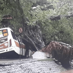 Dez mortos e destruição por chuva de 350 mm no Rio de Janeiro