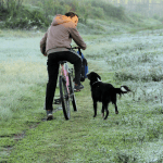 Rio Grande do Sul completa 30 dias com mínimas negativas no ano