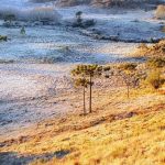 Recordes históricos de frio nesta quarta em Santa Catarina
