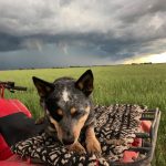 Calor precede chuva e alguns temporais