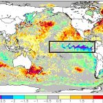 Boletim do Pacífico