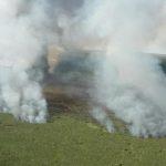 Tempo seco e vento são ameaças no incêndio da reserva do Taim