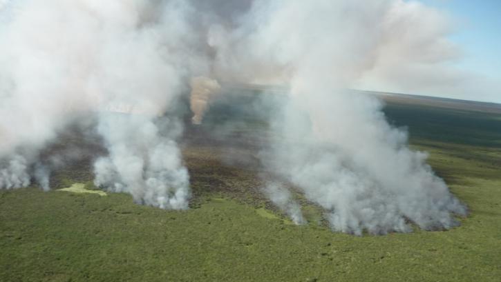 Tempo seco e vento são ameaças no incêndio da reserva do Taim