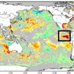Pacífico Leste tem maior aquecimento desde “Super El Niño”