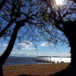 Sol predomina até quarta e instabilidade marcará quinta e sexta