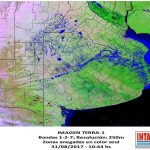 #Agro Inundações castigam agricultura argentina