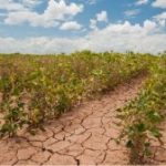 O que março reserva?