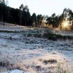 Feriado de Finados pode voltar a ter geada em áreas de maior altitude