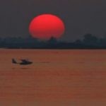 #Agro Quando desaba o muro?