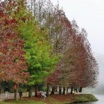 Semana vai marcar mudança de padrão e abrir caminho para o frio