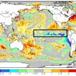 Boletim do Pacífico