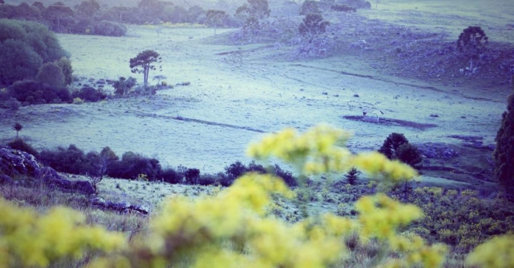 La Niña segue favorecendo frio tardio no Sul do Brasil