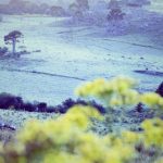 La Niña segue favorecendo frio tardio no Sul do Brasil