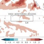 Neutro de ponta a ponta