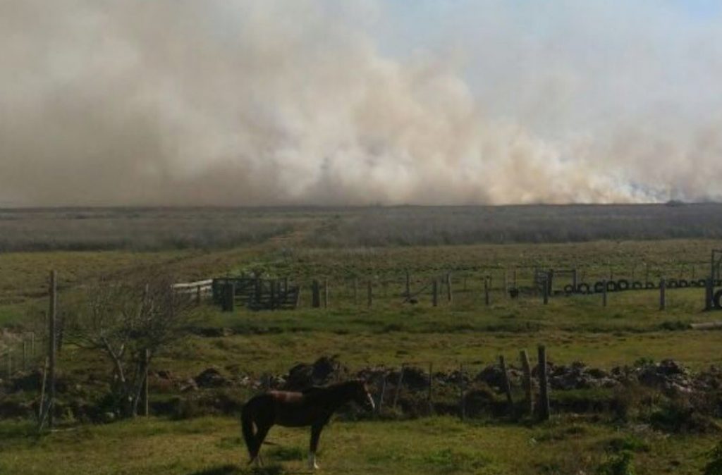 Risco de fogo em vegetação está muito alto