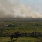 Risco de fogo em vegetação está muito alto