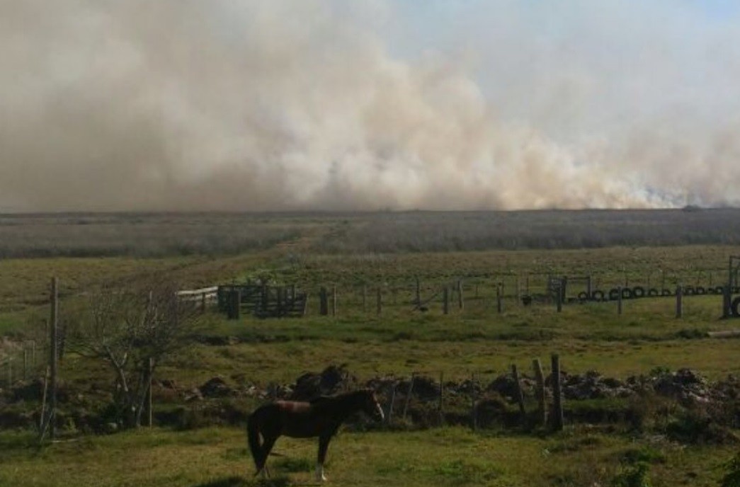 Risco de fogo em vegetação está muito alto