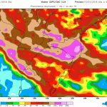 Chuva excessiva no Paraná prejudica safra de verão