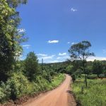Sol e frio com geada no começo da semana e depois dias com nuvens e chuva
