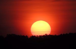 Até que ponto esse calorão é normal?